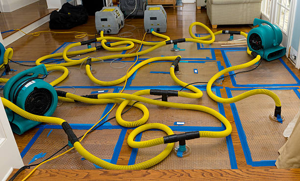 Professional Basement Flood Cleanup technician working in Ordway, CO